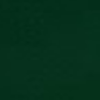 Deep Forest Green