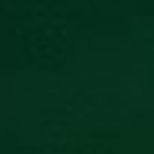 Deep Forest Green